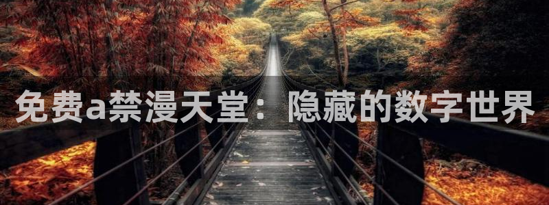 managereader漫画官网入口：免费a禁漫天堂：隐藏的数字世界