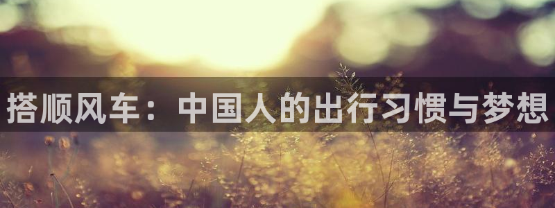 colamanage漫画下载：搭顺风车：中国人的出行习惯与梦想