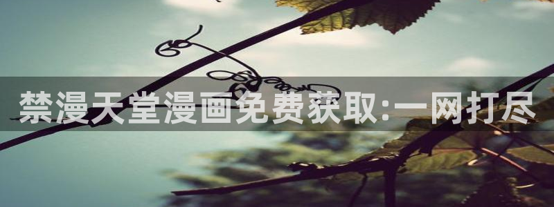 colomanage漫画官网