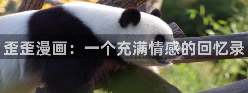 香蕉漫画网：歪歪漫画：一个充满情感的回忆录