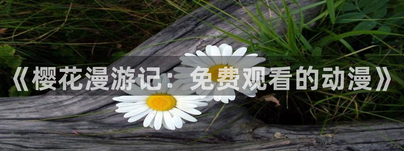 香蕉漫画官网版入口：《樱花漫游记：免费观看的动漫》