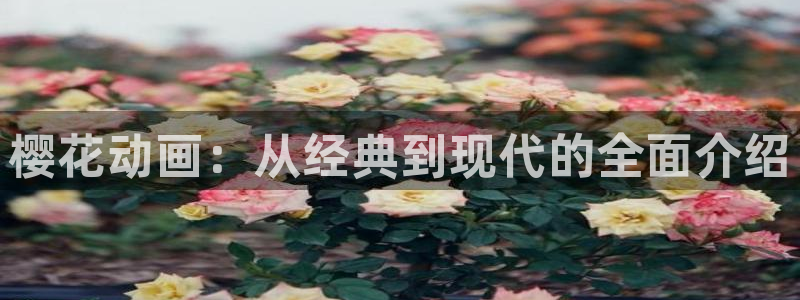 香蕉漫画官网入口老版本：樱花动画：从经典到现代的全面介绍