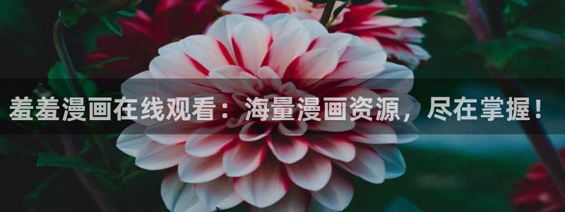 香蕉漫画专注动漫的门户网站：羞羞漫画在线观看：海量漫画资源，尽在掌握！