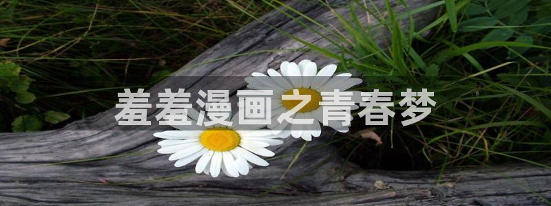 香蕉漫画官网入口老版本：羞羞漫画之青春梦