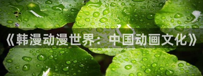 香蕉漫画下载入口：《韩漫动漫世界：中国动画文化》