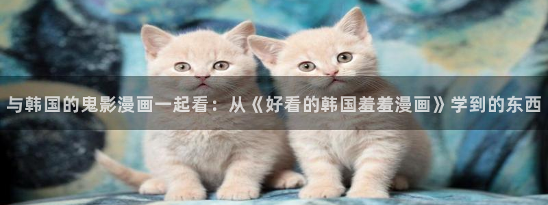 香蕉漫画官网在线入口：与韩国的鬼影漫画一起看：从《好看的韩国羞羞漫画》学到的东西